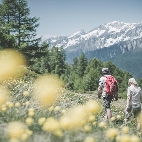 Wandern im Frühling