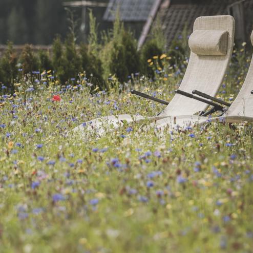 Liegestühle in der Blumenwiese