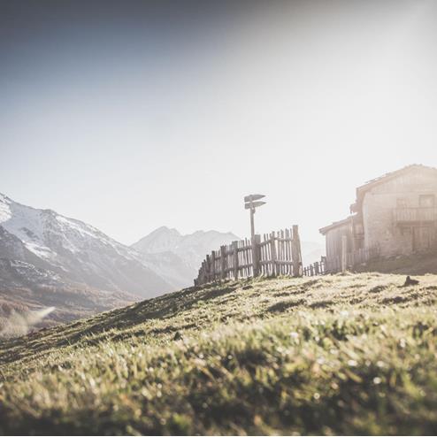 In the Ahrntal Valley