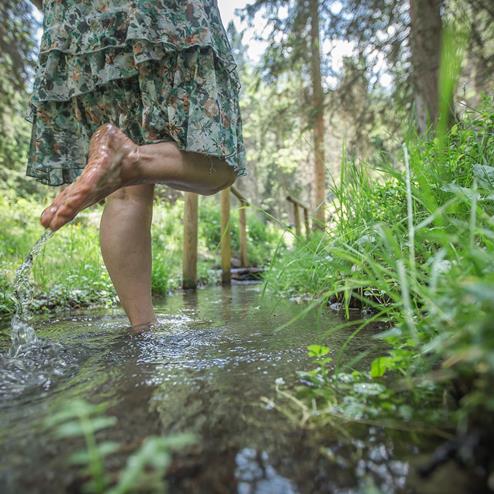 Fare Kneipp nel bosco