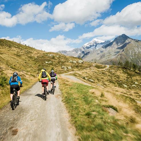 Bike Tour for Three