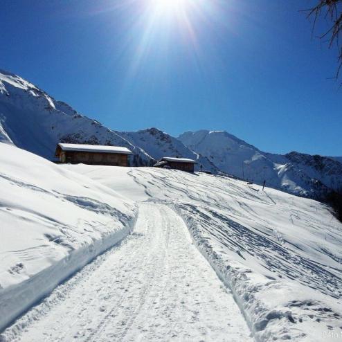 Steger Alm im Winter