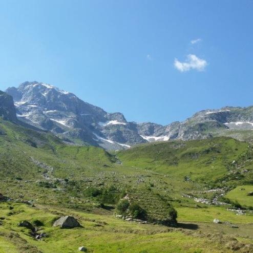 Hollenzalm Mountain Pasture