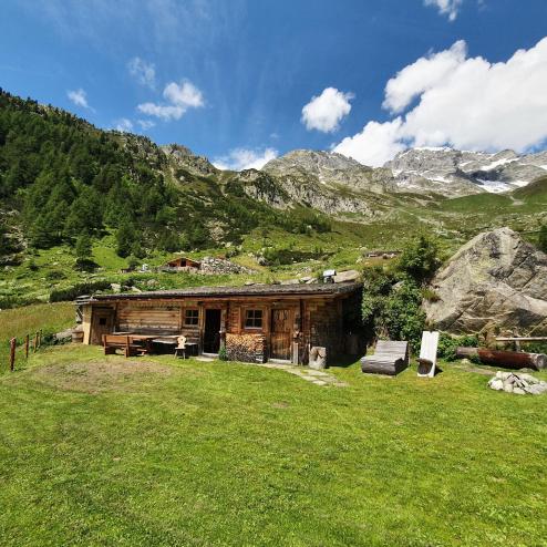 Hollenzalm Mountain Pasture in Summer